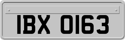 IBX0163