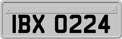 IBX0224