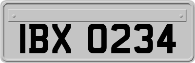 IBX0234