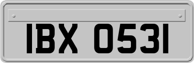 IBX0531