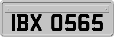 IBX0565