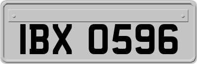 IBX0596