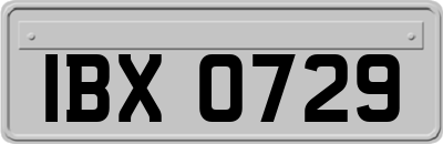 IBX0729
