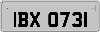 IBX0731