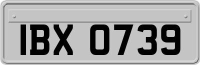 IBX0739
