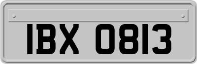 IBX0813