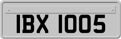 IBX1005