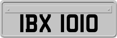 IBX1010
