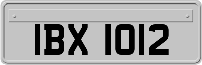 IBX1012