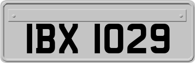 IBX1029