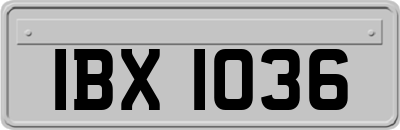 IBX1036