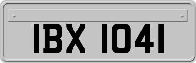 IBX1041