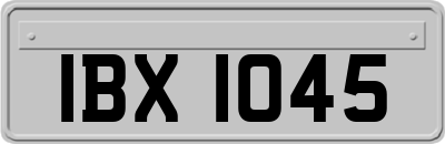 IBX1045