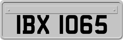 IBX1065
