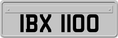 IBX1100