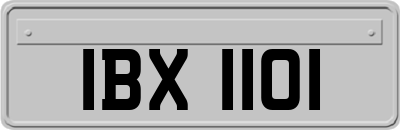 IBX1101