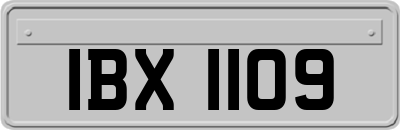 IBX1109