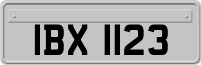 IBX1123