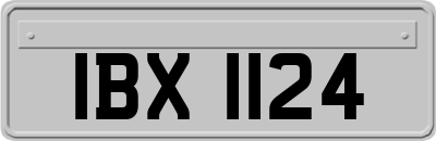IBX1124