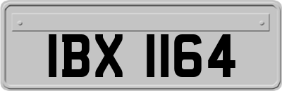 IBX1164