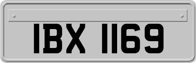 IBX1169