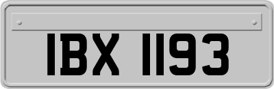 IBX1193