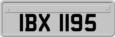 IBX1195