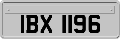 IBX1196