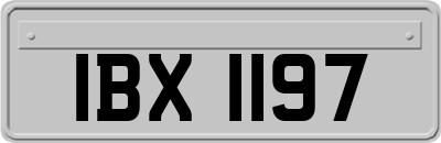 IBX1197