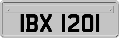 IBX1201