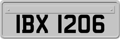 IBX1206