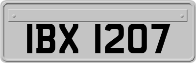 IBX1207