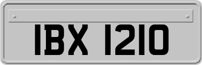 IBX1210