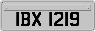 IBX1219