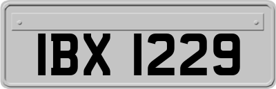 IBX1229