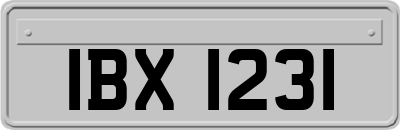 IBX1231