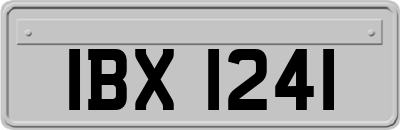 IBX1241