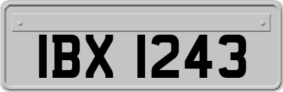 IBX1243