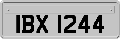 IBX1244