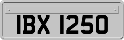 IBX1250