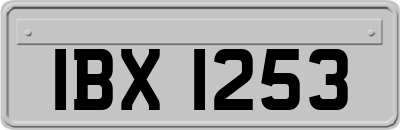 IBX1253