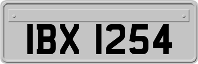 IBX1254