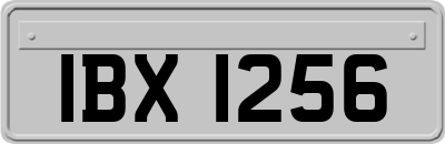 IBX1256