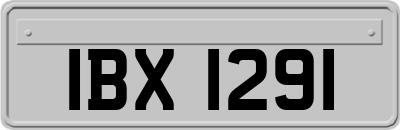IBX1291
