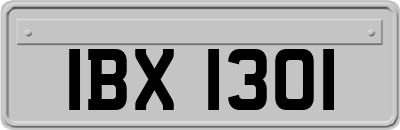IBX1301