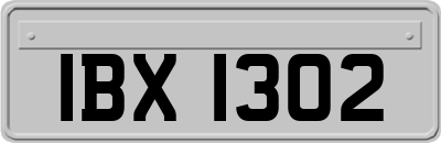 IBX1302
