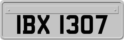 IBX1307