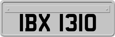 IBX1310