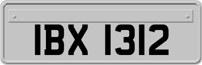 IBX1312