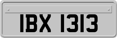 IBX1313